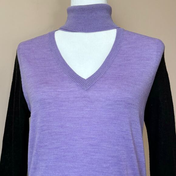 TOME Womens XS Purple Turtle V Neck Long Sleeve Merino Wool Tunic Sweater - Picture 2 of 11